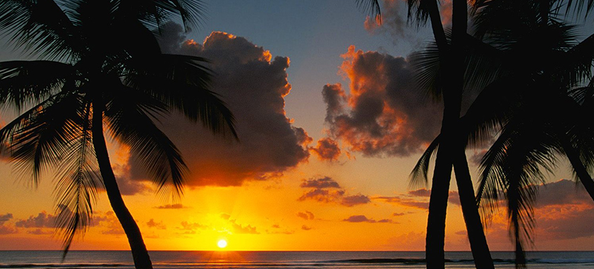 智能服务发现的自动攻击网站工具下载